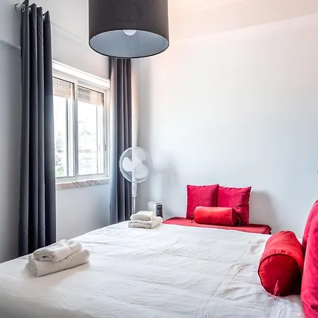 Akicity Ameixoeira Indigo Lissabon